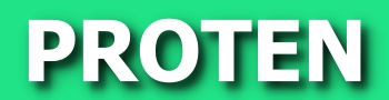 Logo PROTEN